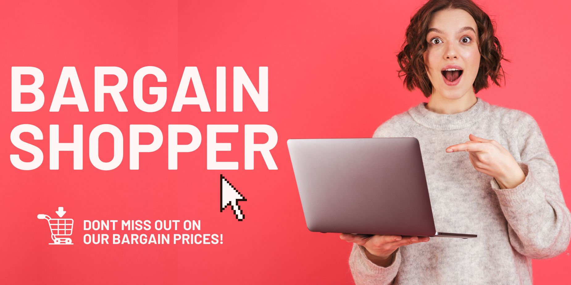 The Bargain Investigators, LLC.